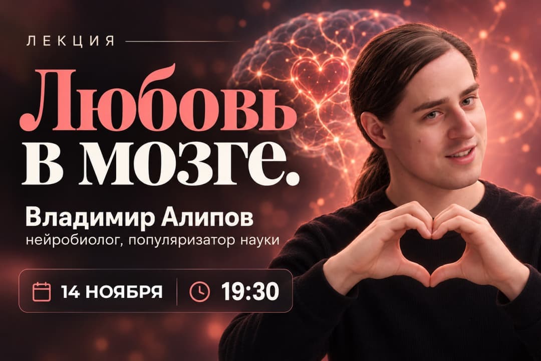 Изображение для Любовь в мозге.