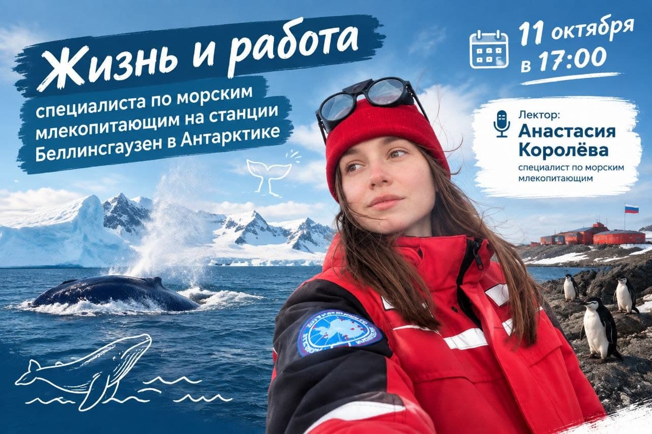 Жизнь и работа специалиста по морским млекопитающим на станции Беллинсгаузен в Антарктике.