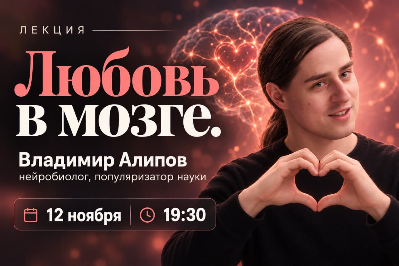 Любовь в мозге.